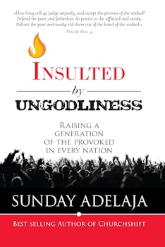 Insulted By Ungodliness: Raising a generation of the provoked in every nation